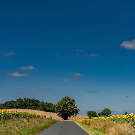 La Maison Sur La Colline * Aubeterre-sur-Dronne