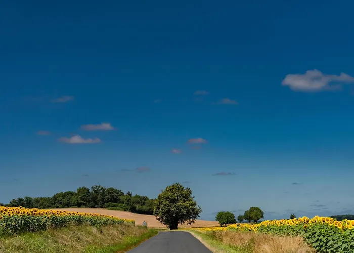 La Maison Sur La Colline * Aubeterre-sur-Dronne