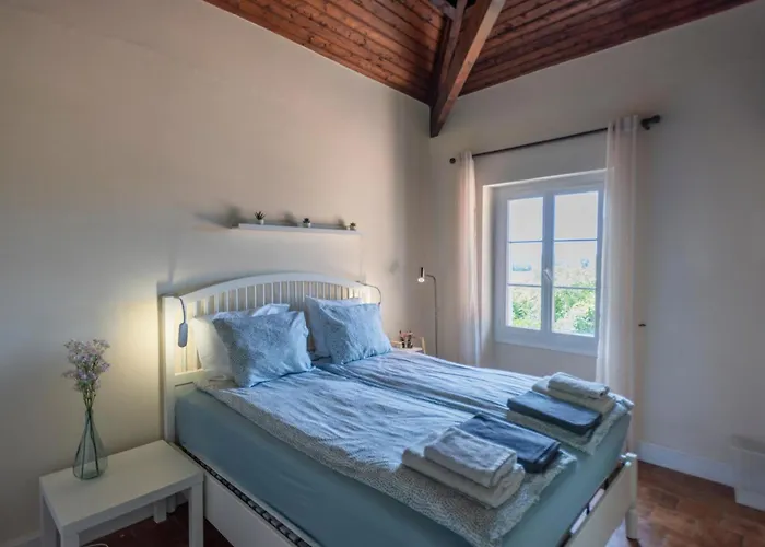 Сasa de vacaciones La Maison Sur La Colline *